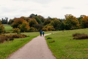 Two people walk on a path in autumn park